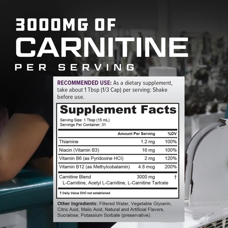 Liquid L-Carnitine Supplement  - L-Carnitine Liquid ulasan dan harga